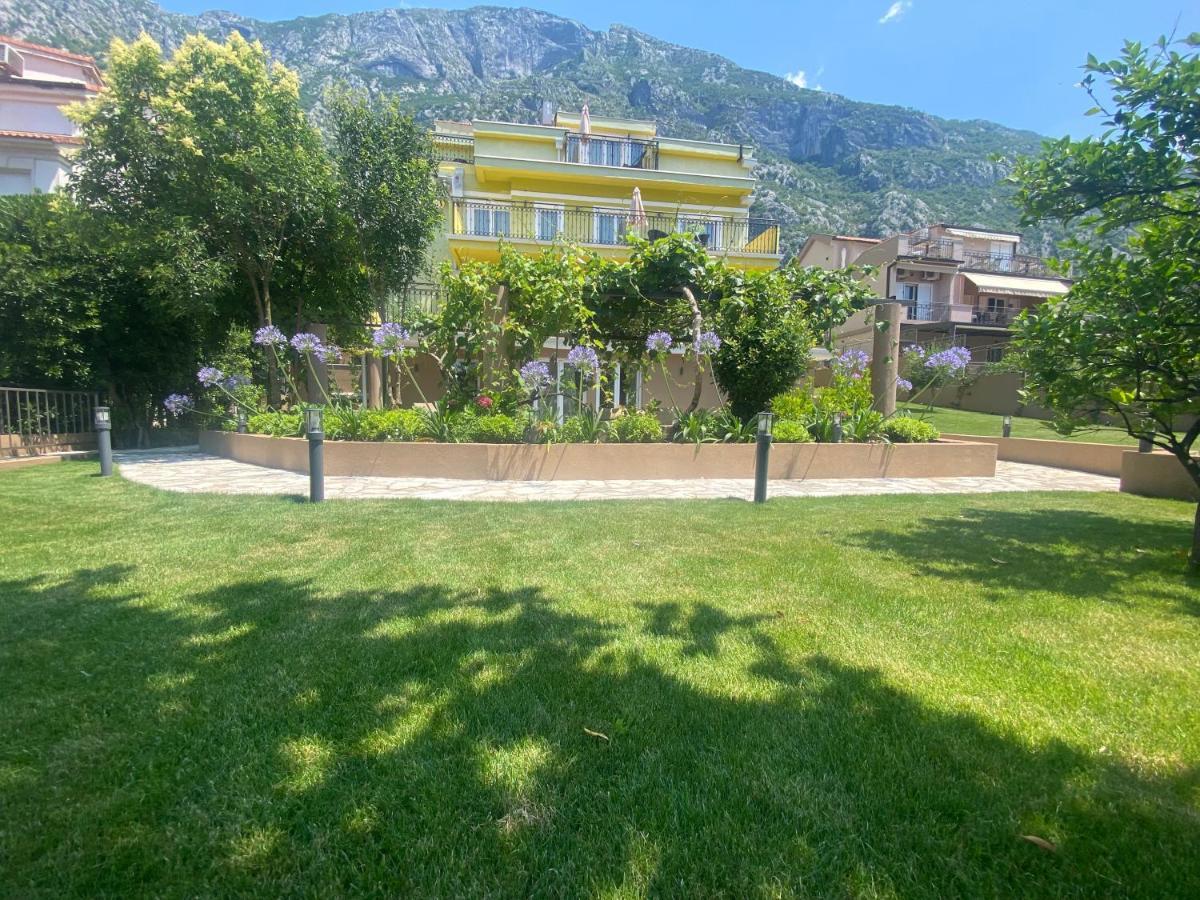 2Montenegro Mimoza Apartments Dobrota Exteriör bild